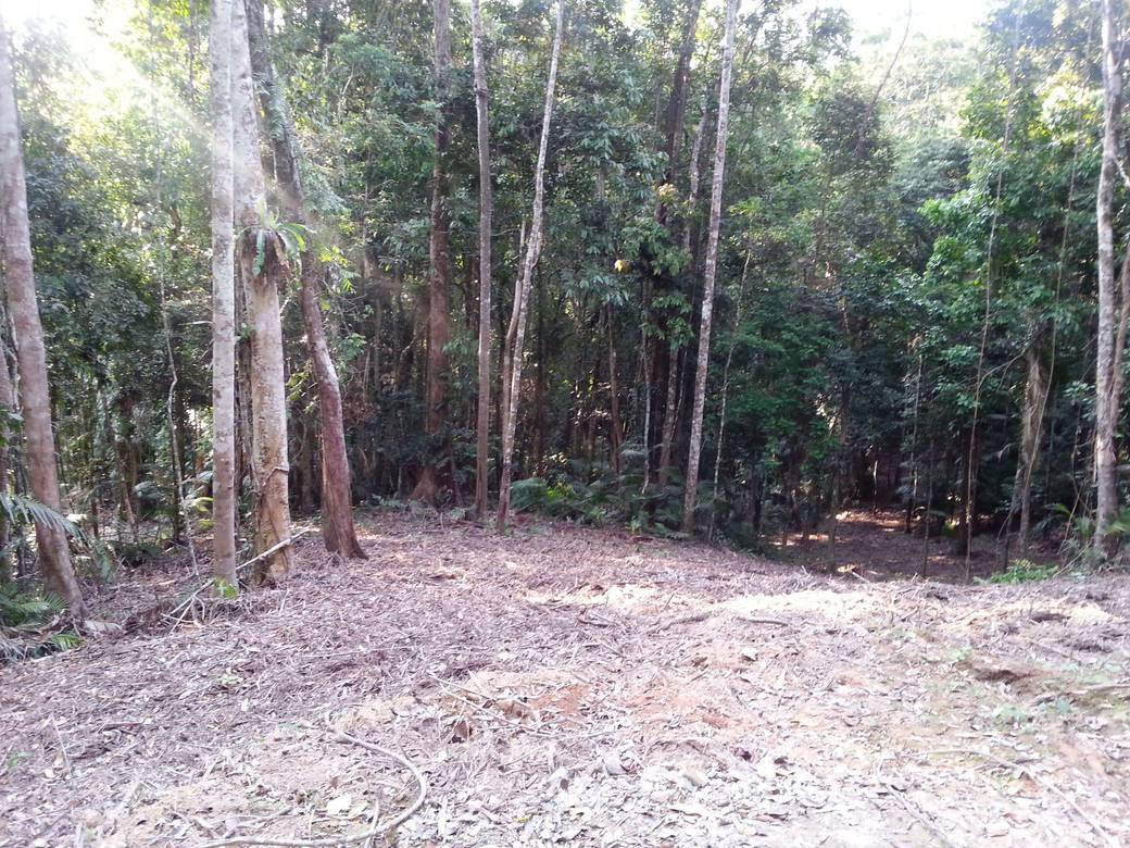 Lot For Sale in Far North Queensland K498,592