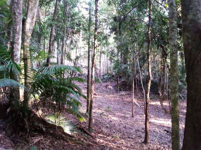Far North Queensland Lot For Sale in Far North Queensland