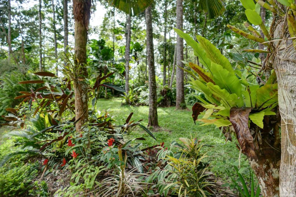 House and lot For Rent in Far North Queensland K1,316