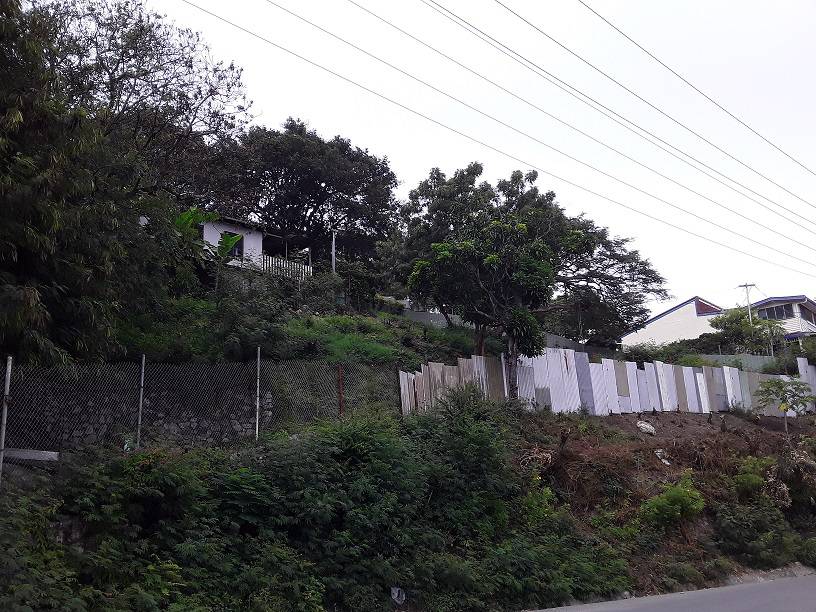 4,450.7 sqm Land Size Lot For Sale