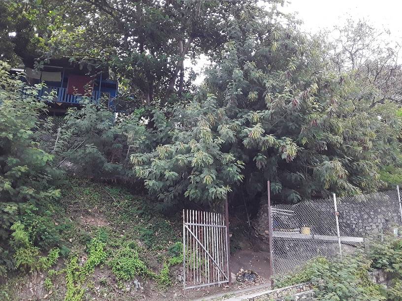 Lot For Sale in Section: 53 Lot: 12, Airvos Avenue, Town, Port Moresby, NCD