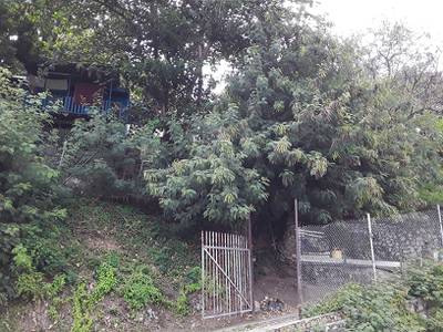 Lot For Sale in Section: 53 Lot: 12, Airvos Avenue, Town, Port Moresby, NCD