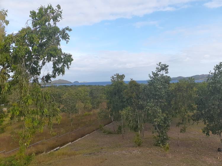 Dogurah, 6 Mile, Port Moresby, NCD