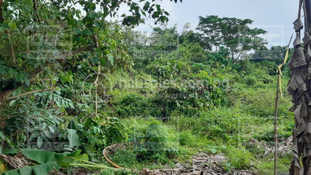 Lot For Sale in Rabaul K75,000