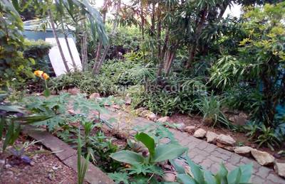 residential Townhouse for sale & rent ใน Gabutu รหัส 14880 11