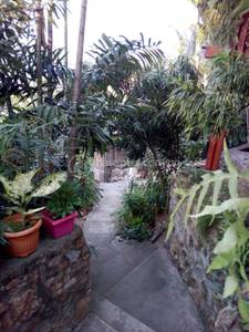 residential Townhouse for sale & rent ใน Gabutu รหัส 14880 10