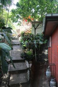 residential residential for rent ใน 5 mile รหัส 31594 2
