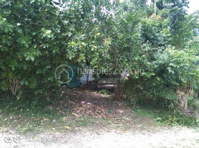 residential DuplexSemi-detached for sale ใน Konedobu รหัส 29379 57