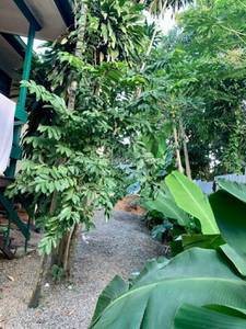 residential House for sale ใน Tokarara รหัส 29622 11