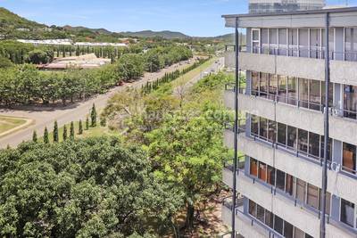 Offices For Rent in Drive Independence, Waigani, Port Moresby, NCD