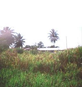 Abau House and lot Bilong Salim in Abau