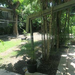 residential House for sale ใน Gabutu รหัส 31477 7