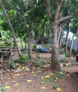 residential House for sale ใน Boroko East รหัส 31524 3