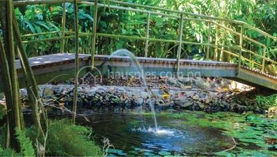 HiIllside Apartments for rent ใน Lae รหัส 31528 9