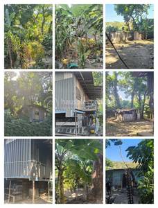 在 Port Moresby 区域 ID为 31627的commercial Retailfor sale项目 2