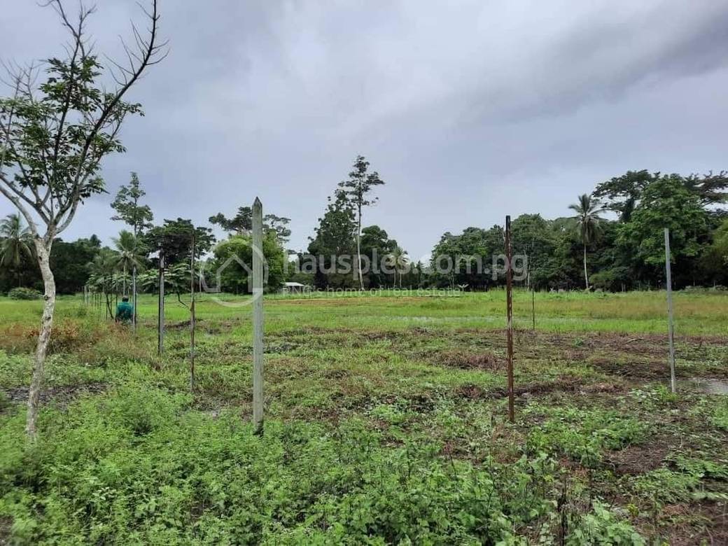 3,900 sqm Land Size Graun Bilong Salim