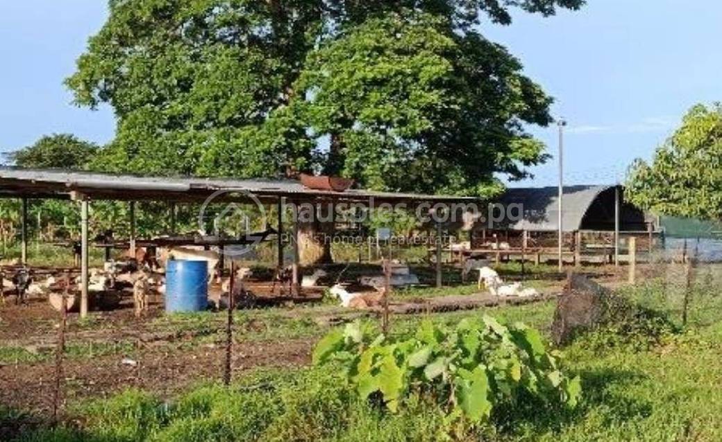 Lot For Sale in Sogeri Road, 14 Mile, Port Moresby, NCD