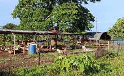 Lot For Sale in Sogeri Road, 14 Mile, Port Moresby, NCD