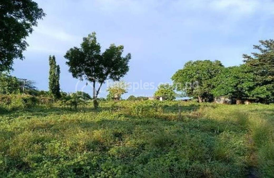 Port Moresby Lot For Sale in Port Moresby
