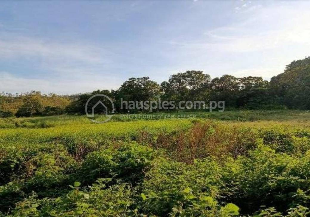 14 Mile Lot For Sale in 14 Mile