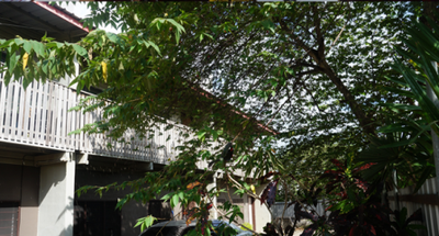 9 Mile Compounds for Sale | New Development For Sale in Port Moresby K1,200,000