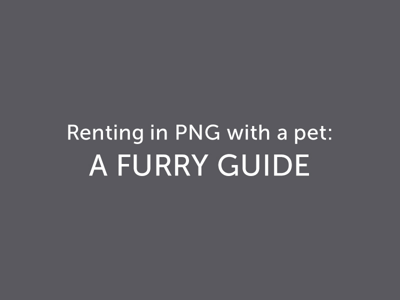 Renting in PNG with a pet; a furry guide!