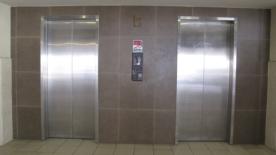 commercial Offices for rent ใน Taurama รหัส 12797 9