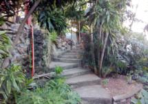 residential Townhouse for sale & rent ใน Gabutu รหัส 14880 39