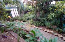 residential Townhouse for sale & rent ใน Gabutu รหัส 14880 41