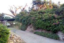 residential Townhouse for sale & rent ใน Gabutu รหัส 14880 43