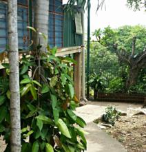 residential Townhouse for sale ใน Konedobu รหัส 15972 18