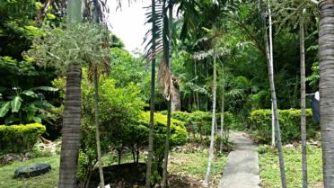 residential Townhouse for sale ใน Konedobu รหัส 15972 19