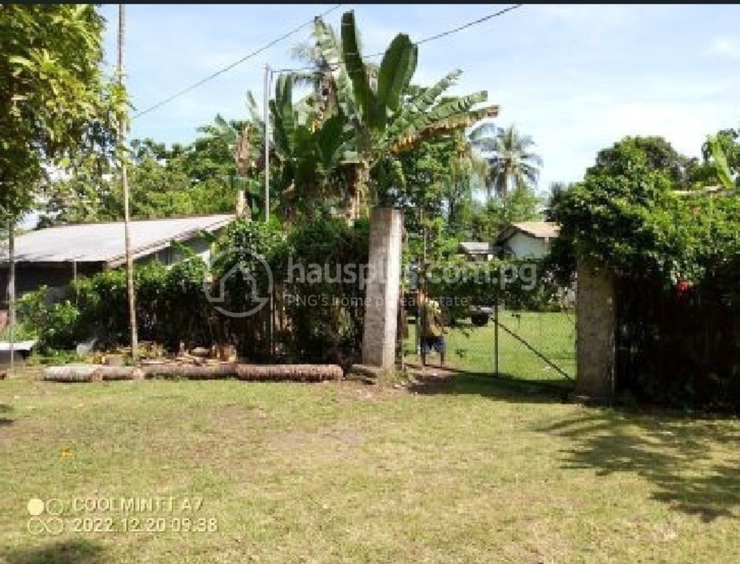 residential House1 for sale2 ក្នុង Madang3 ID 302874 7