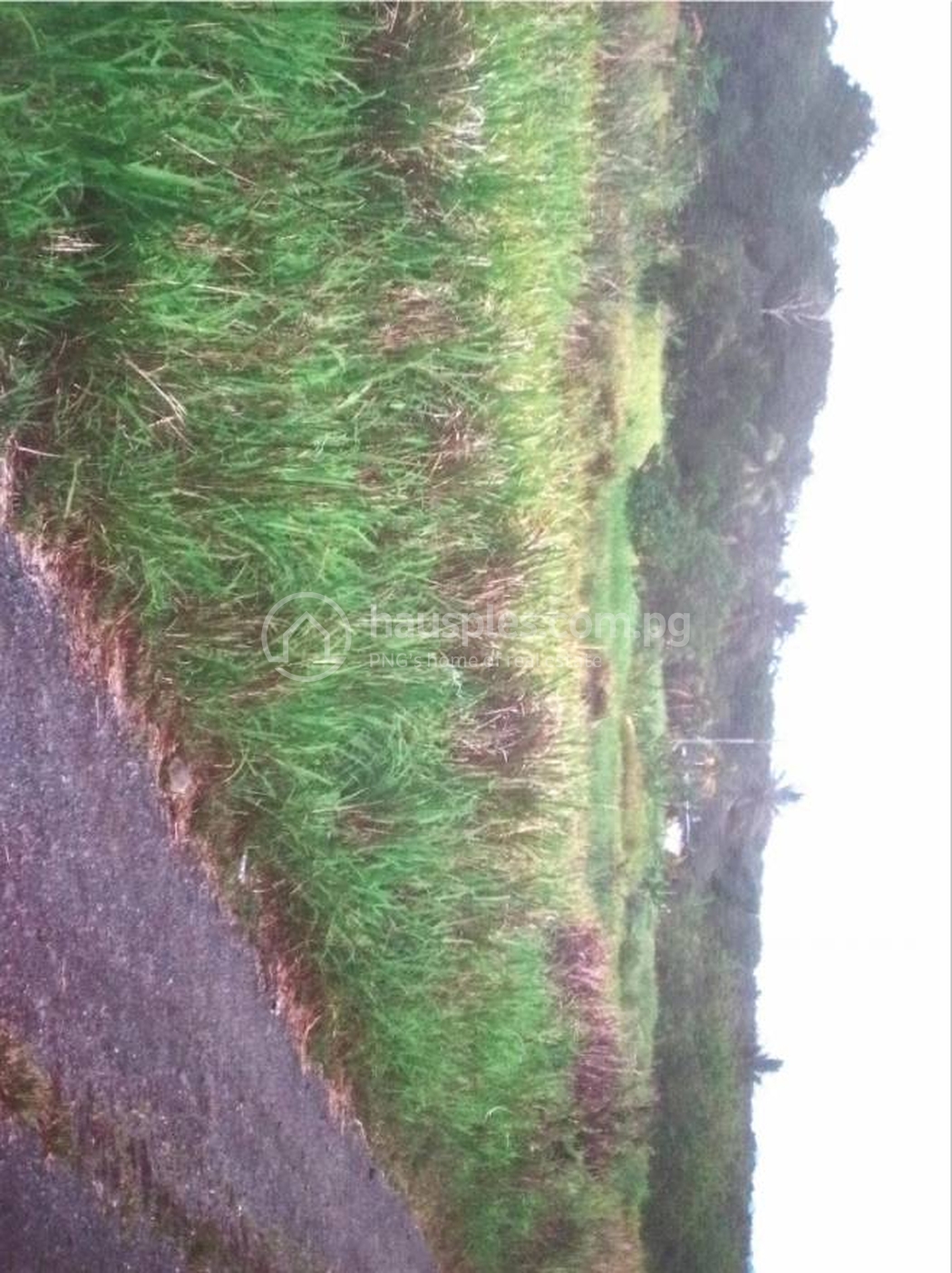 residential House for sale ใน Abau รหัส 30638 1