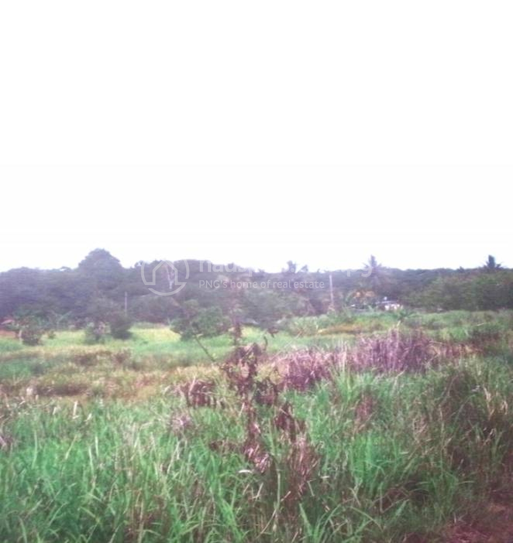 residential House for sale ใน Abau รหัส 30639 3