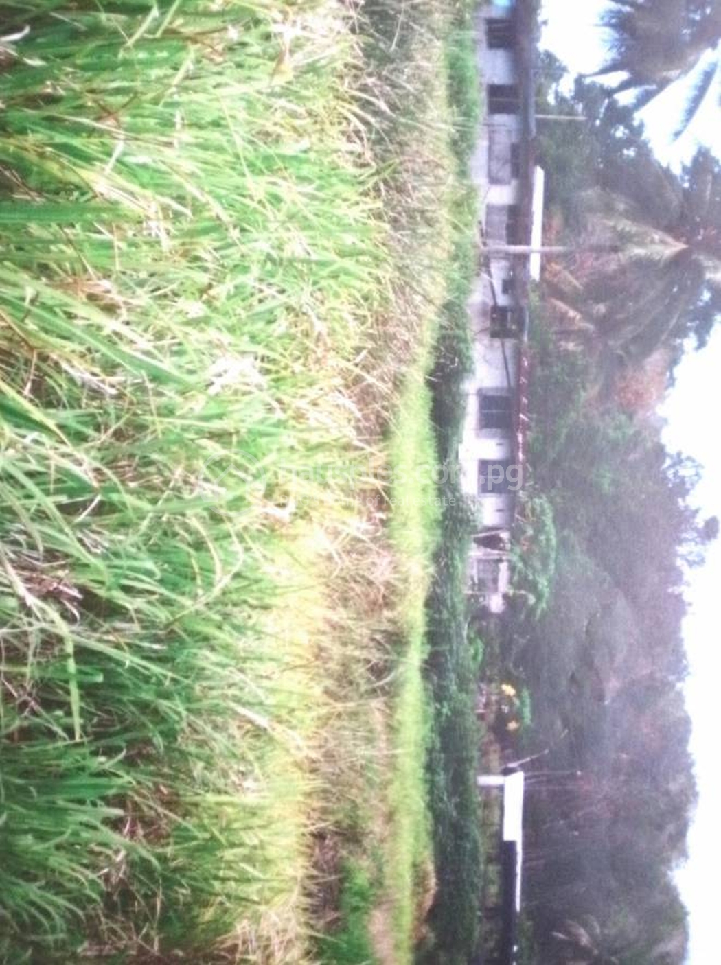 residential House for sale ใน Abau รหัส 30638 2