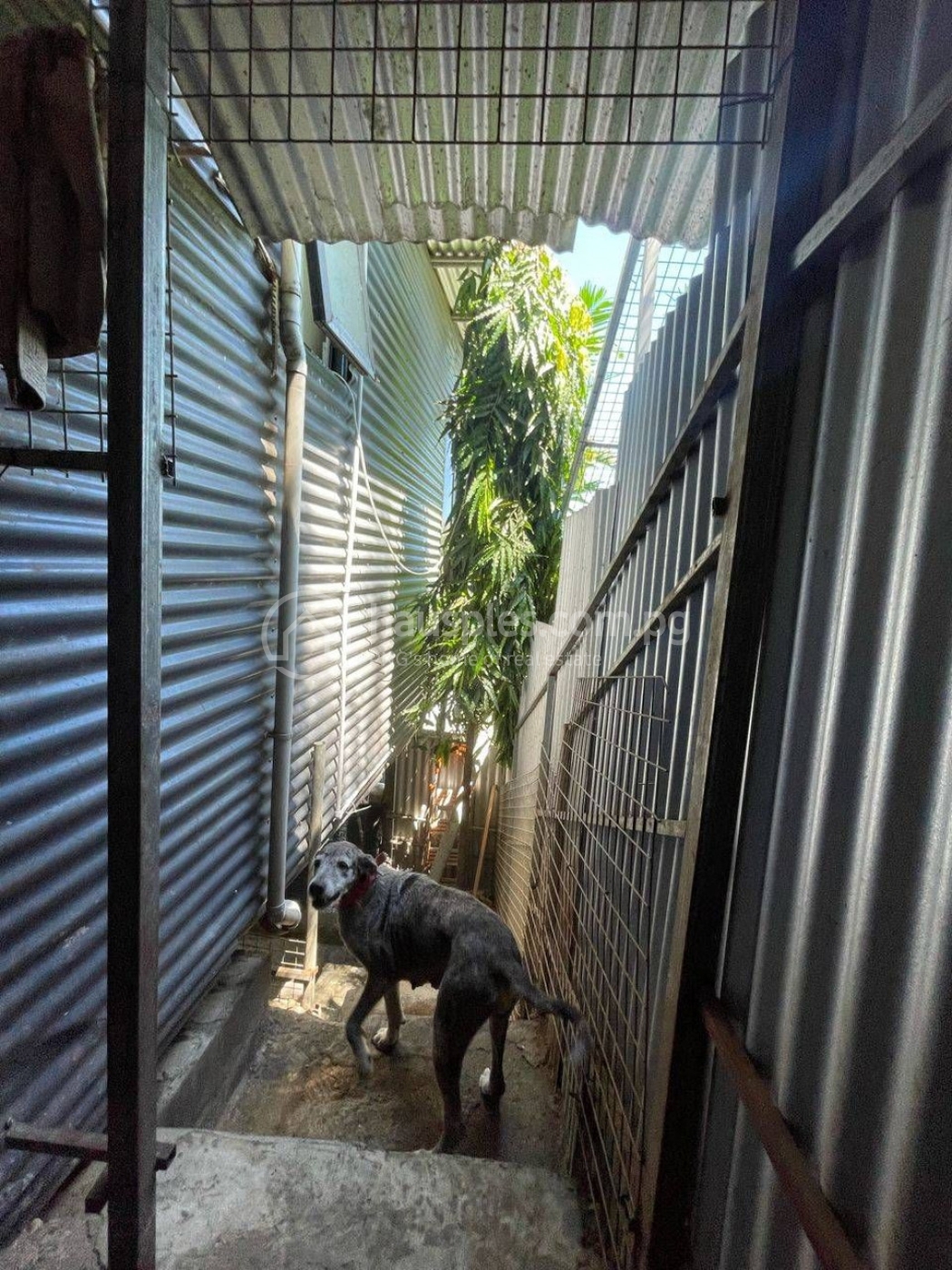 residential DuplexSemi-detached for sale ใน 4 Mile รหัส 31003 8