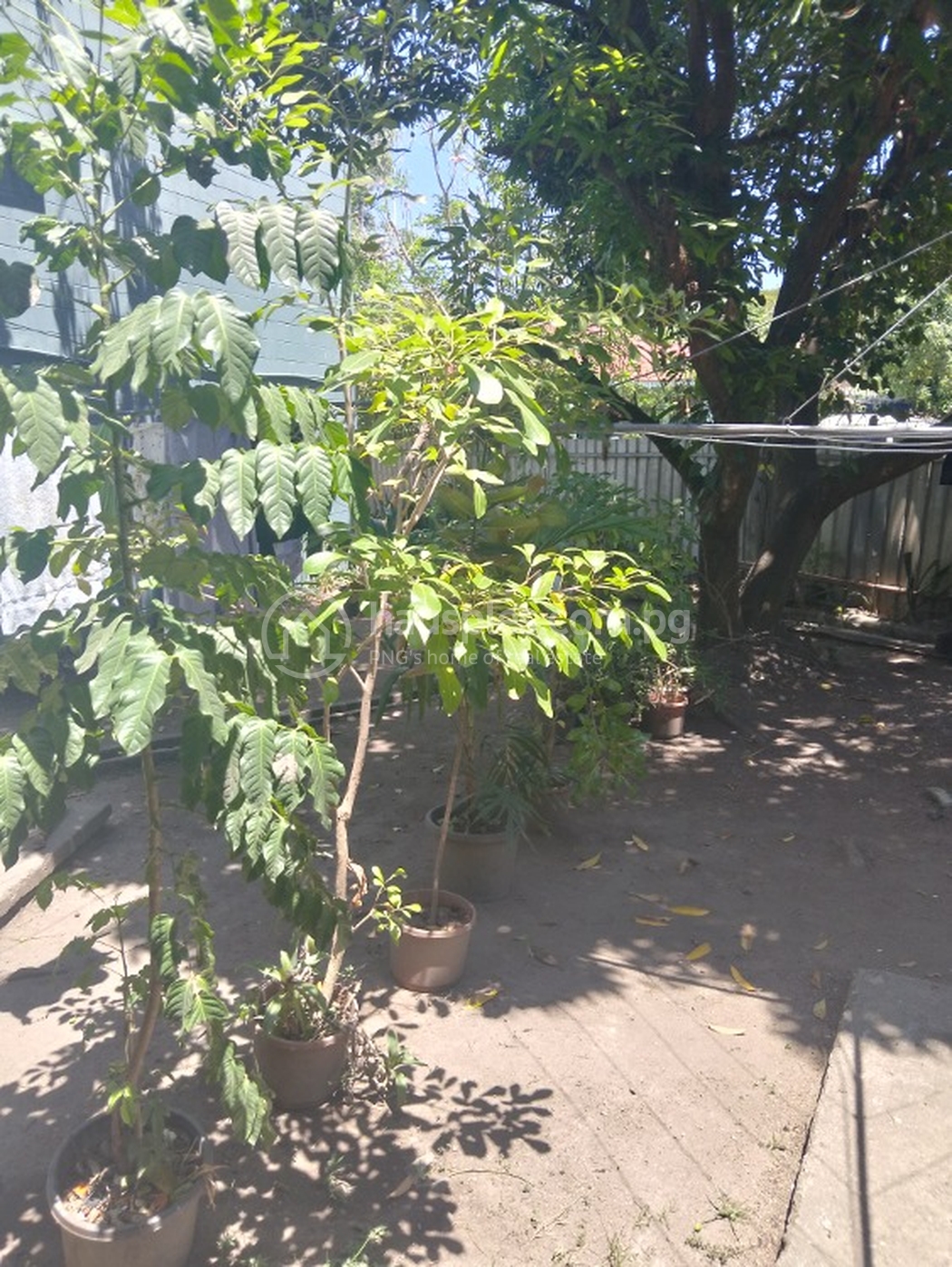 residential Apartment for rent ใน Boroko รหัส 31153 7