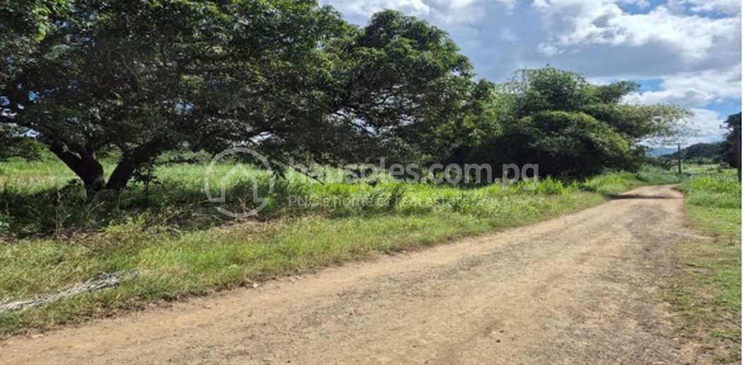 residential Land/Development for sale ใน Moresby Central รหัส 31750 3