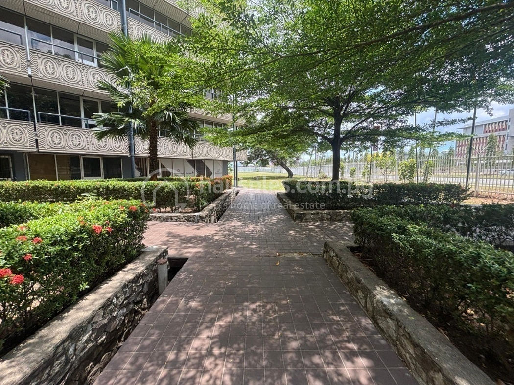 commercial Offices1 for rent2 ក្នុង Town3 ID 317674 3