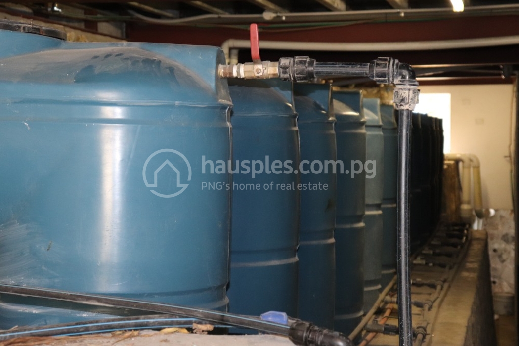 Fairhaven Apartments: Where Comfort, Convenience, and Style Converge for rent ใน Paga Hill รหัส 14531 37