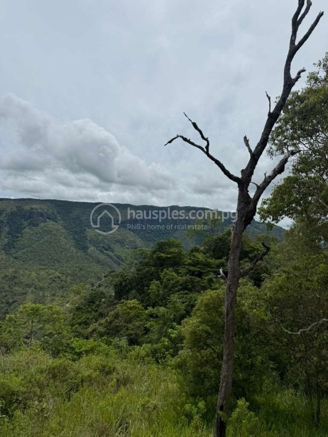 residential Land/Development1 for sale2 ក្នុង Sogeri3 ID 318034 5