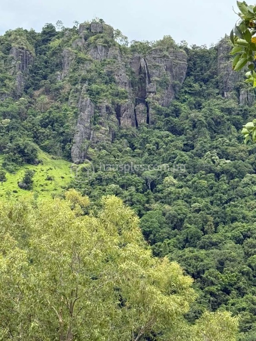 residential Land/Development1 for sale2 ក្នុង Sogeri3 ID 318034 3