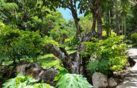 residential Townhouse for sale ใน Konedobu รหัส 15972 23