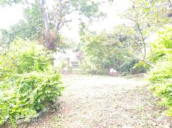 residential Townhouse for sale ใน Konedobu รหัส 15972 30